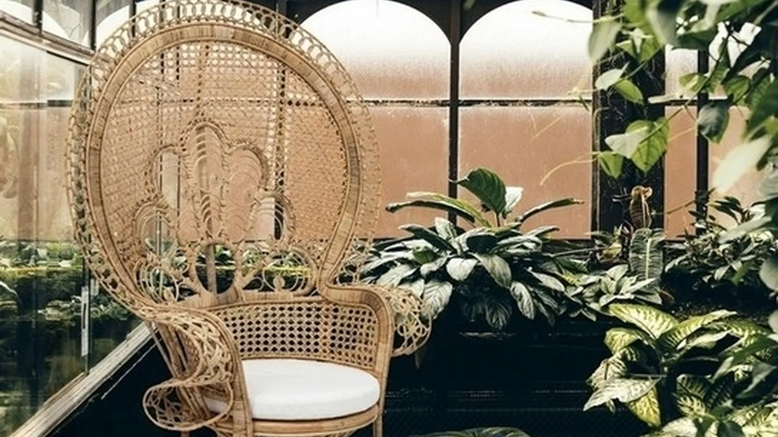 Poltrona in rattan Peacock di Bizzotto