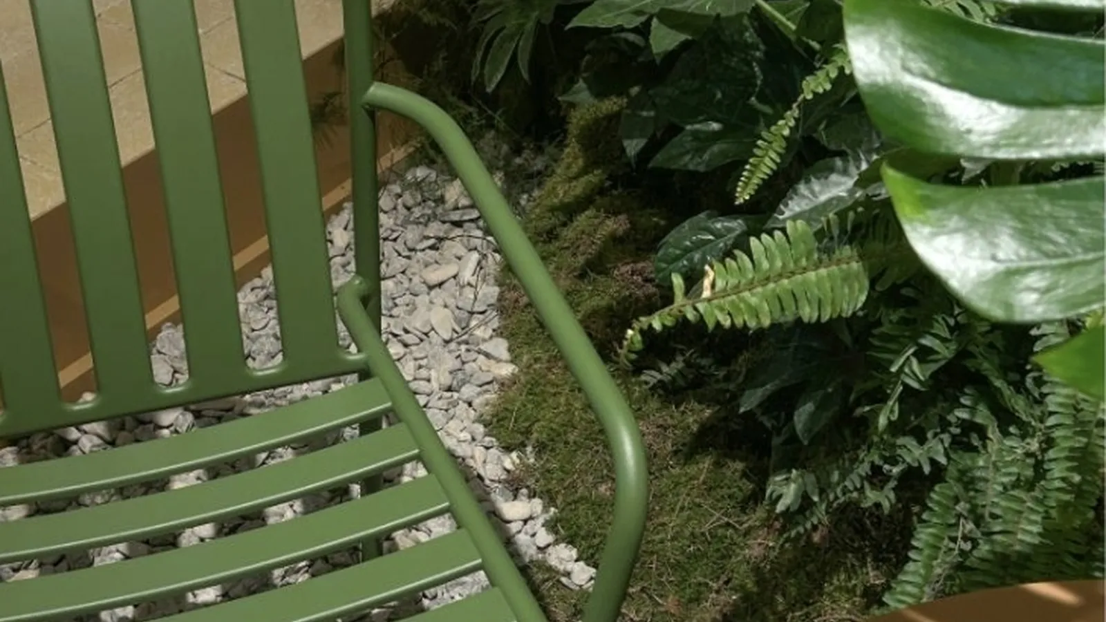 Sedia Coney di Pedrali