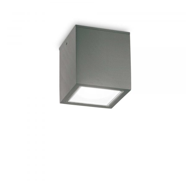 Techo PL1 Big - immagine 2
