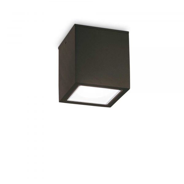 Techo PL1 Big - immagine 4
