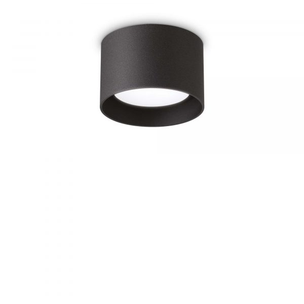 Spike PL1 - immagine 2