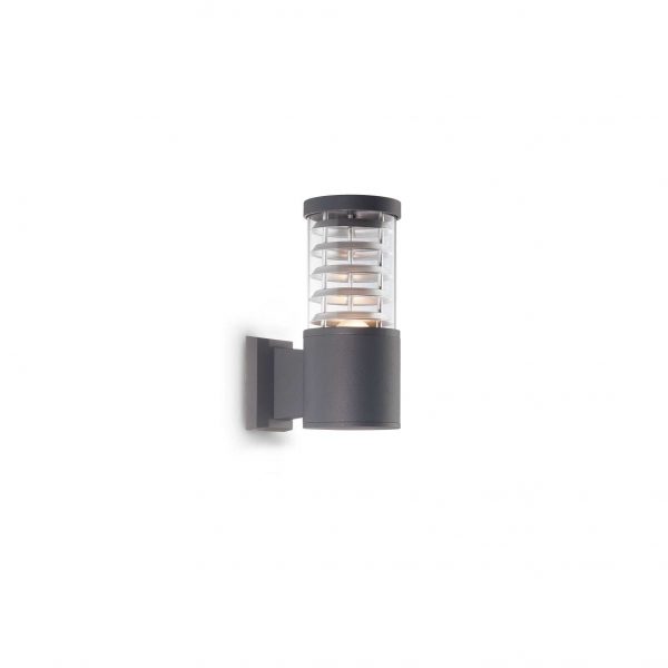 Tronco AP1 - immagine 2
