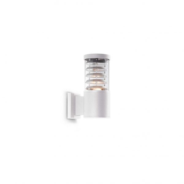 Tronco AP1 - immagine 3